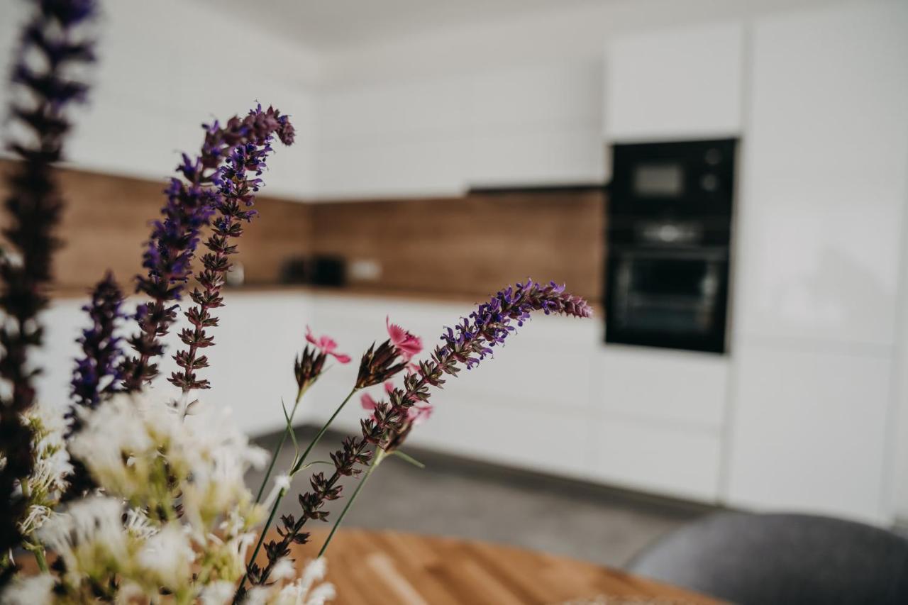 Apartman Usti Границе Экстерьер фото